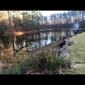 Meet your Posher, Randi